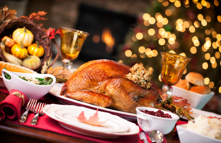 Thanksgiving turkey dinner in front of the fireplace and Christmas tree