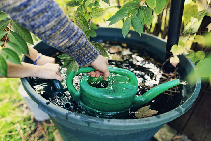 refilling watering cans with rainwater from rainwater tank.
